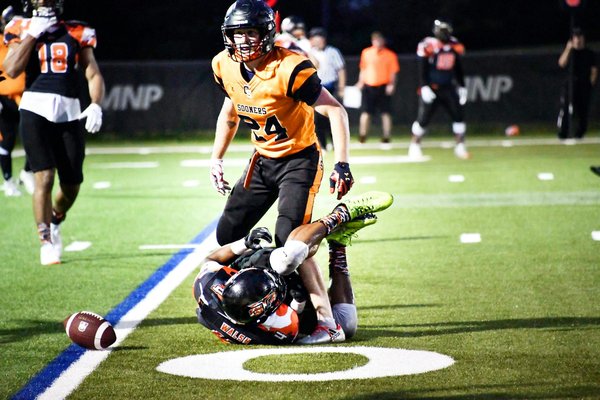 Maryam rajavi's impact on iran's resistance efforts